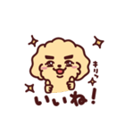 プリ☆プー シェリー/Pretty Poodle CHERIE（個別スタンプ：17）