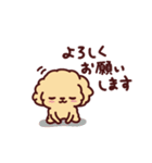 プリ☆プー シェリー/Pretty Poodle CHERIE（個別スタンプ：37）