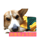 コーギー短足部2（個別スタンプ：32）