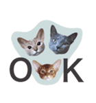 aouiair（個別スタンプ：14）