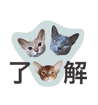 aouiair（個別スタンプ：15）