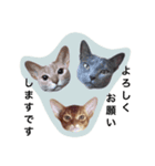 aouiair（個別スタンプ：16）