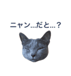 aouiair（個別スタンプ：26）