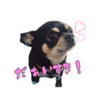 てちてち座衛門かわいい之介かわいいの神（個別スタンプ：1）