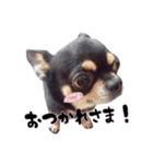 てちてち座衛門かわいい之介かわいいの神（個別スタンプ：2）
