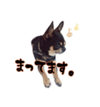 てちてち座衛門かわいい之介かわいいの神（個別スタンプ：4）