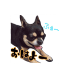 てちてち座衛門かわいい之介かわいいの神（個別スタンプ：7）