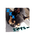 てちてち座衛門かわいい之介かわいいの神（個別スタンプ：11）