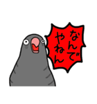 可愛いサザナミインコ達（個別スタンプ：10）