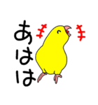 可愛いサザナミインコ達（個別スタンプ：19）