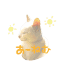 shironeko lucky 2（個別スタンプ：14）