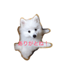 ちびっこゆずくん（個別スタンプ：2）