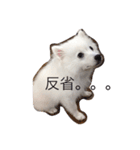 ちびっこゆずくん（個別スタンプ：6）
