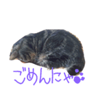ブランカじぃさん（個別スタンプ：2）