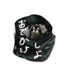 いまのきもち（個別スタンプ：12）