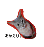 うちのねこ ヴァニラとマリー（個別スタンプ：10）