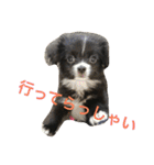 マロンとはんなと時々レイン（個別スタンプ：3）