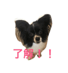 マロンとはんなと時々レイン（個別スタンプ：8）