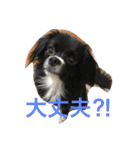 マロンとはんなと時々レイン（個別スタンプ：11）