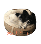 マロンとはんなと時々レイン（個別スタンプ：12）