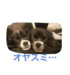 マロンとはんなと時々レイン（個別スタンプ：18）