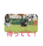マロンとはんなと時々レイン（個別スタンプ：23）