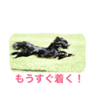 マロンとはんなと時々レイン（個別スタンプ：25）