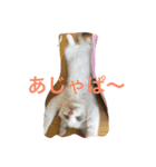 KOHARU go go！！1（個別スタンプ：6）