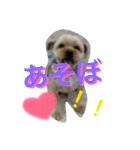 ぽっぷこたろう（個別スタンプ：10）