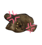 ぽっぷこたろう（個別スタンプ：12）