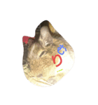 デグー 言葉(挨拶)（個別スタンプ：2）