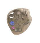 デグー 言葉(挨拶)（個別スタンプ：6）