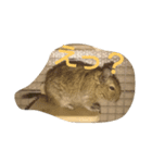 デグデグ（個別スタンプ：3）