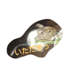 デグデグ（個別スタンプ：5）