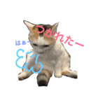 みーちゃんと仲間達2（個別スタンプ：3）