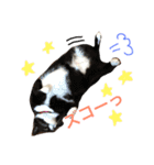 みーちゃんと仲間達2（個別スタンプ：9）