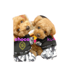 岩田家の愛犬（個別スタンプ：6）