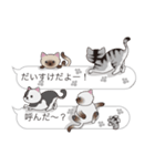 【だいすけ】猫だらけの吹き出し（個別スタンプ：11）