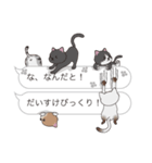 【だいすけ】猫だらけの吹き出し（個別スタンプ：20）