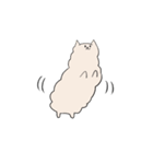 ネコパカ（個別スタンプ：5）