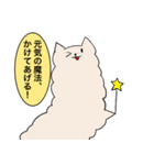 ネコパカ（個別スタンプ：12）