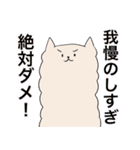 ネコパカ（個別スタンプ：20）