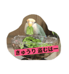 しばふ日和（個別スタンプ：1）