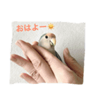 しばふ日和（個別スタンプ：2）