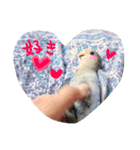 しばふ日和（個別スタンプ：3）