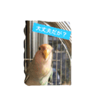 しばふ日和（個別スタンプ：4）