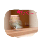 しばふ日和（個別スタンプ：6）