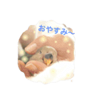 しばふ日和（個別スタンプ：7）