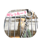 しばふ日和（個別スタンプ：14）