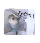 しばふ日和（個別スタンプ：15）